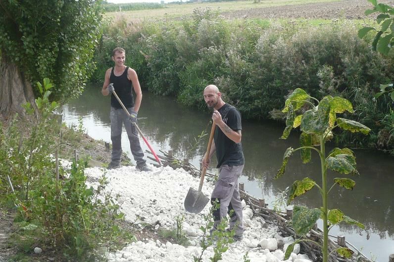 Paillage et plantations