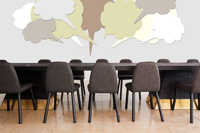 Les instances de l'association Les instances de l'association